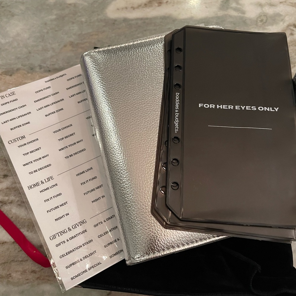 Baddies And Budgets Silver A6 binder & envelopes